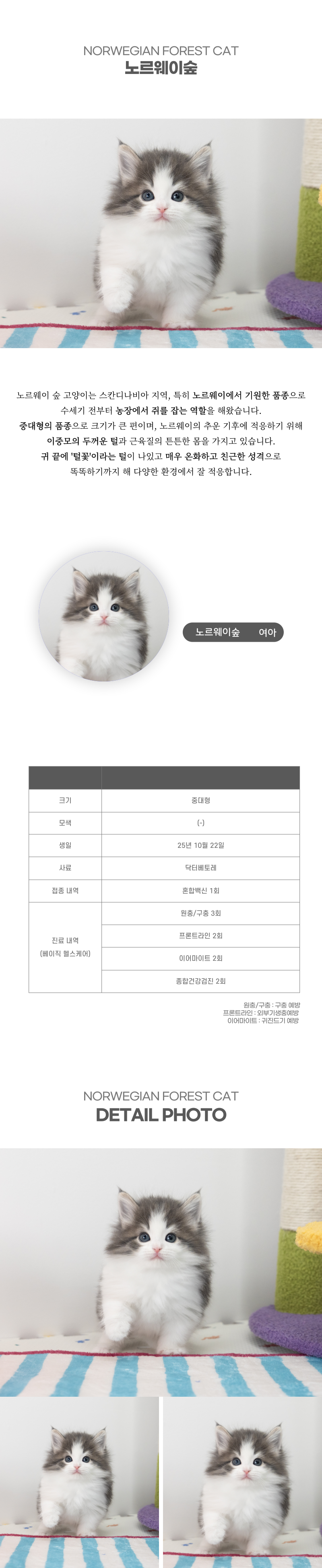 노르웨이숲_상세이미지_2